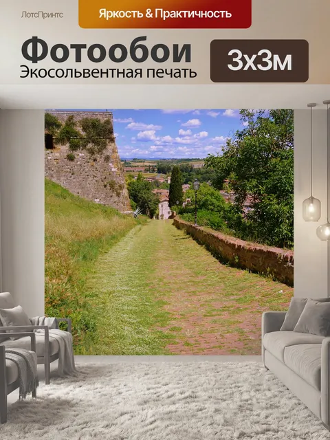Фотообои Спуск