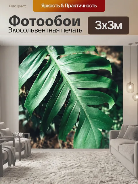 Фотообои Монстера