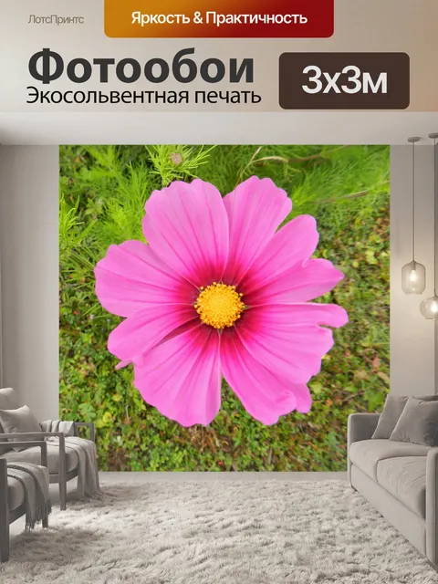 Фотообои Соната - 1