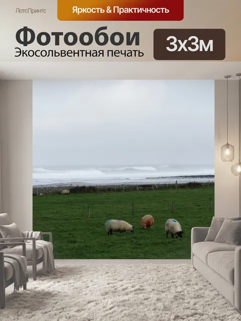 Фотообои Овцы на море