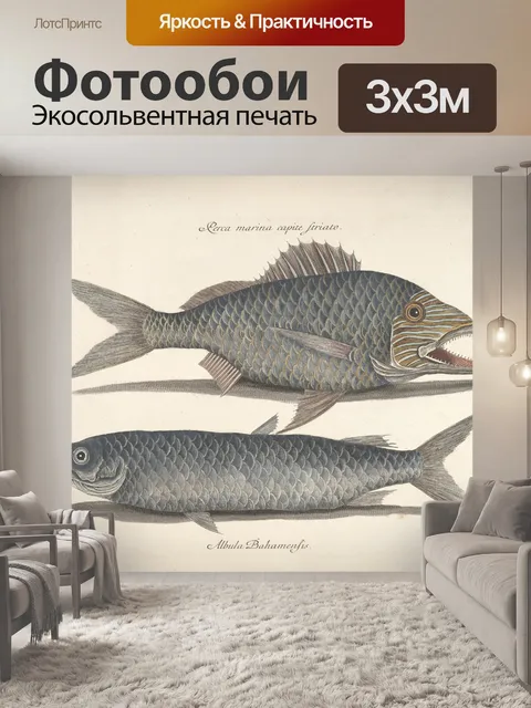 Фотообои Винтажное искусство рыбы