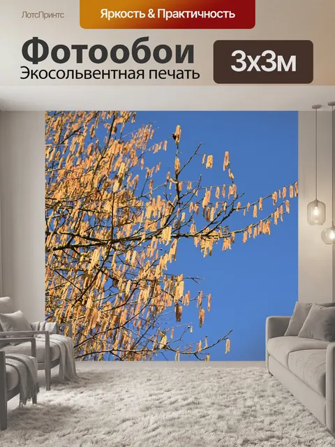 Фотообои Ветви орешника