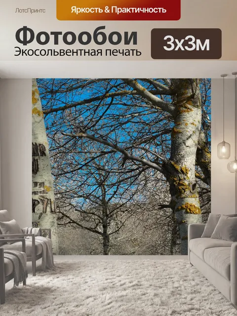 Фотообои Дерево