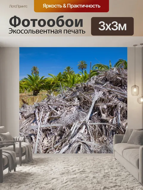 Фотообои сухие листья пальмы