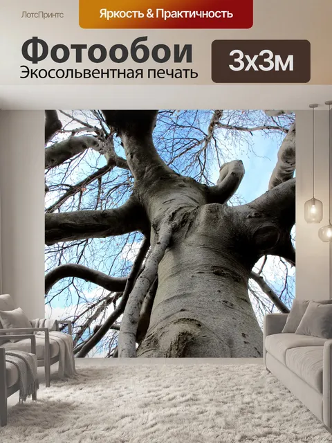 Фотообои Gnarled дерева
