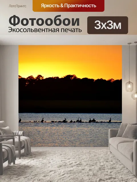 Фотообои Тропические птицы на закате