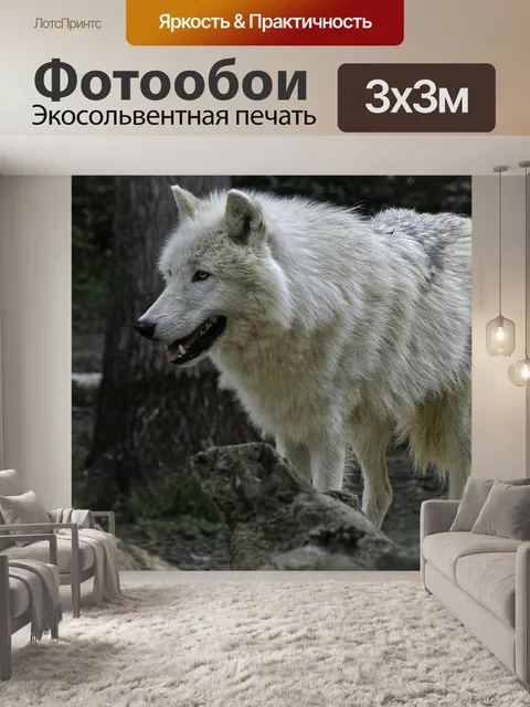 Фотообои Арктический волк