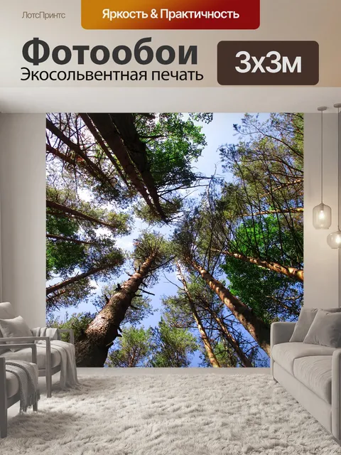 Фотообои Деревья