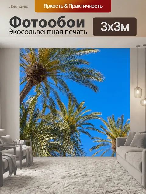 Фотообои Пальмы и голубое небо