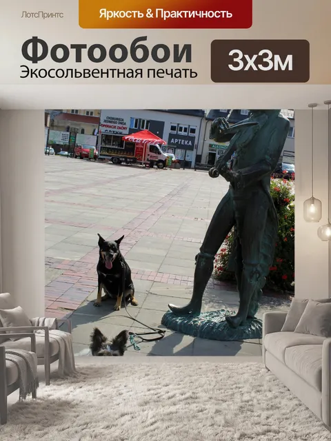 Фотообои Статуя, Польша