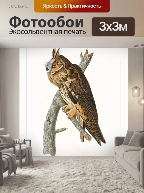Фотообои Сова Винтаж плакат искусство