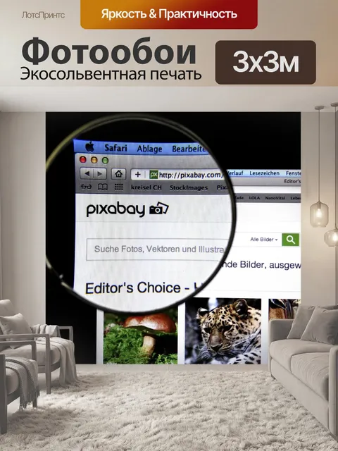 Фотообои Www