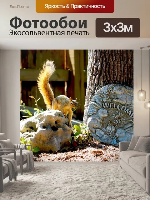 Фотообои Белка