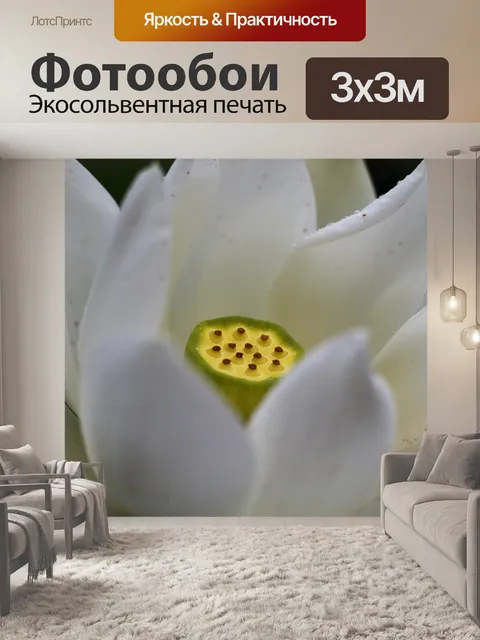 Фотообои Белый