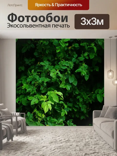 Фотообои Листья