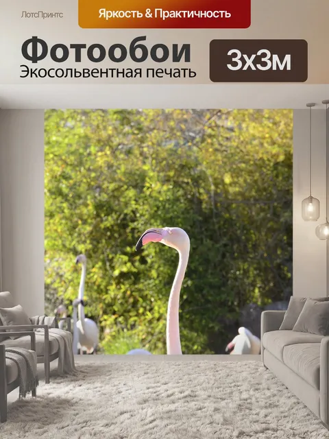 Фотообои Птицы