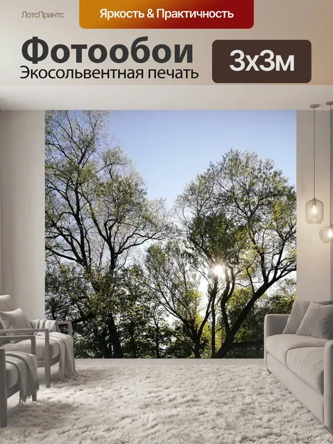 Фотообои Деревья