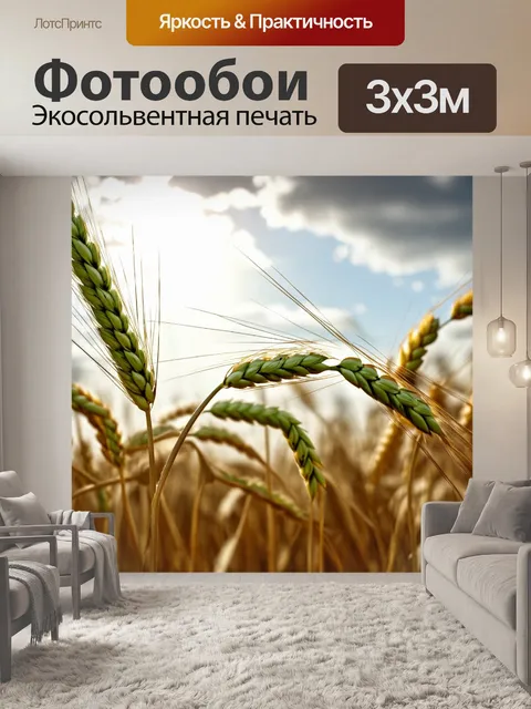 Фотообои колос, зеленый и золотистый, колышущийся на ветру, с солнечными лучами, пробивающимися сквозь облака