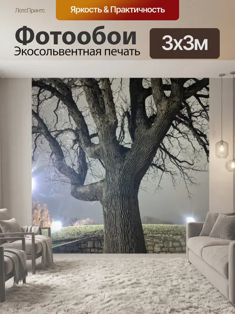 Фотообои Дерево