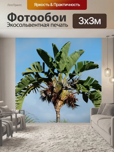 Фотообои Белая стрелиция