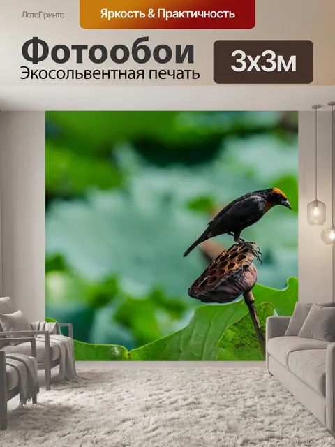 Фотообои Птица