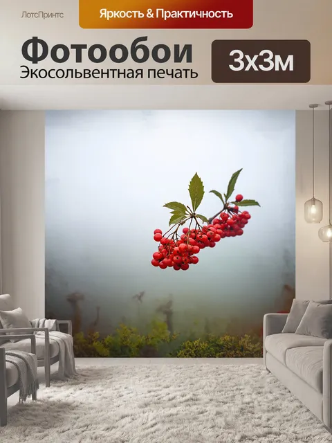 Фотообои одинокая рябина с яркими ягодами выделяется на фоне туманного утра