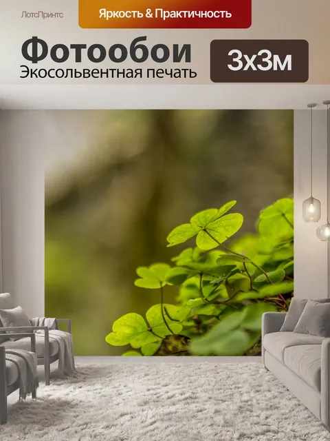 Фотообои Листья клевера