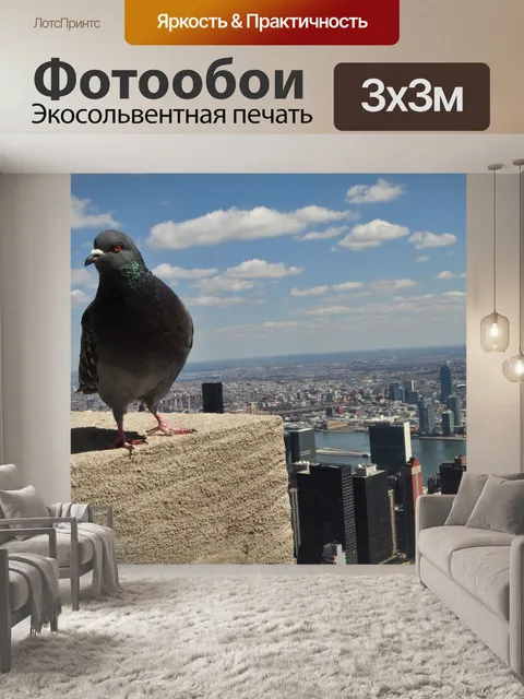 Фотообои Птица