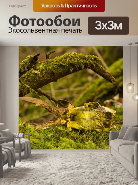 Фотообои Rehschädel