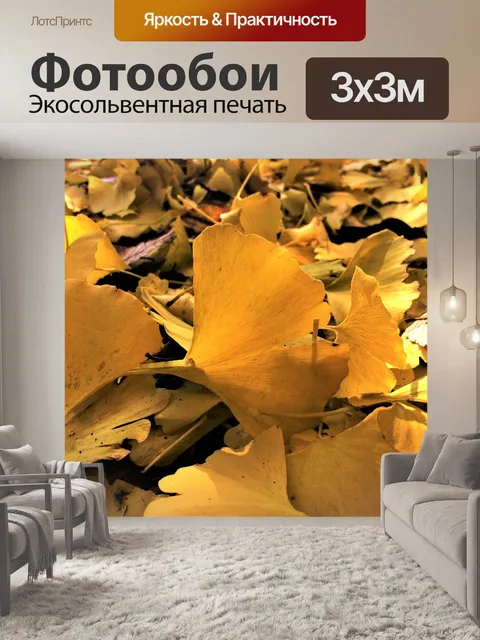 Фотообои Гинкго дерево