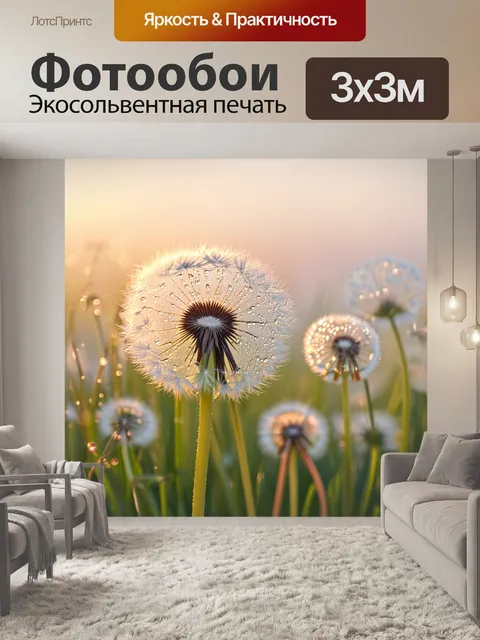 Фотообои одуванчики, покрытые росой ранним утром, поблескивают на фоне мягкого, пастельного горизонта