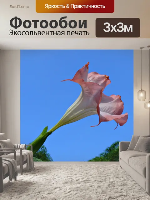 Фотообои Труба персикового ангела