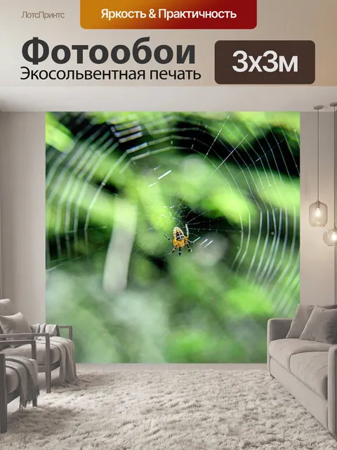 Фотообои Паук