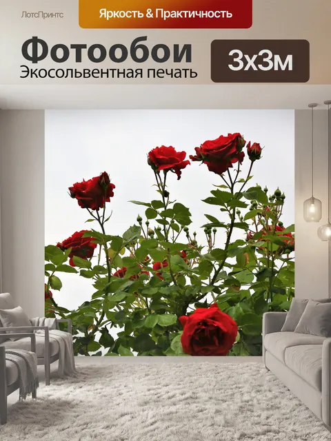 Фотообои Розы