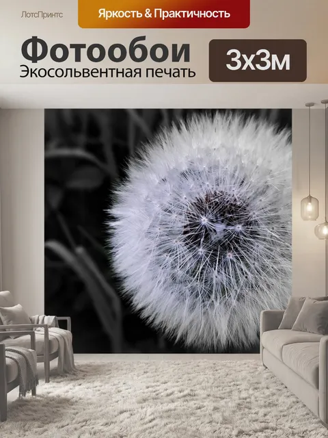 Фотообои Одуванчик