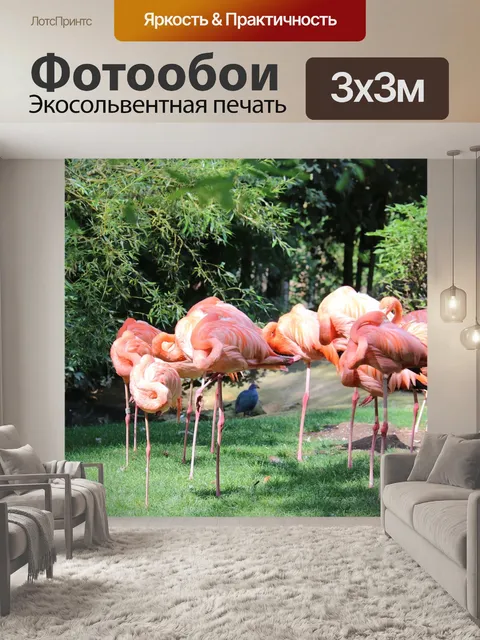 Фотообои Розовые фламинго