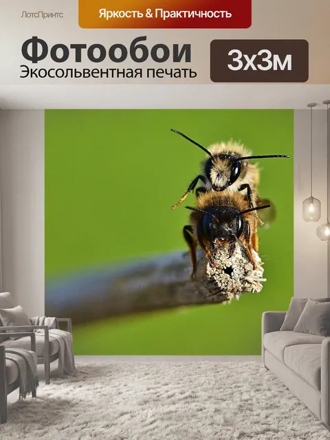 Фотообои Природа