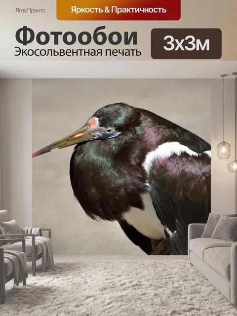 Фотообои Зеленый цапля Птица