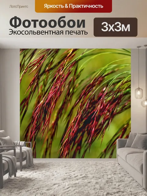 Фотообои Трава травы растения зеленые