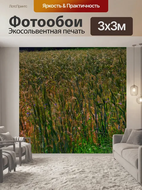 Фотообои Фон