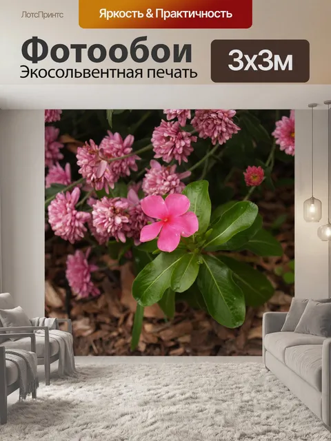 Фотообои Цветы