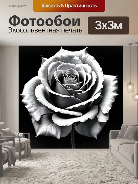 Фотообои черно-белая роза с яркими акцентами