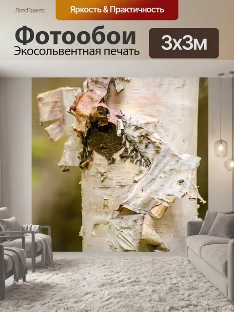 Фотообои Дерево березы