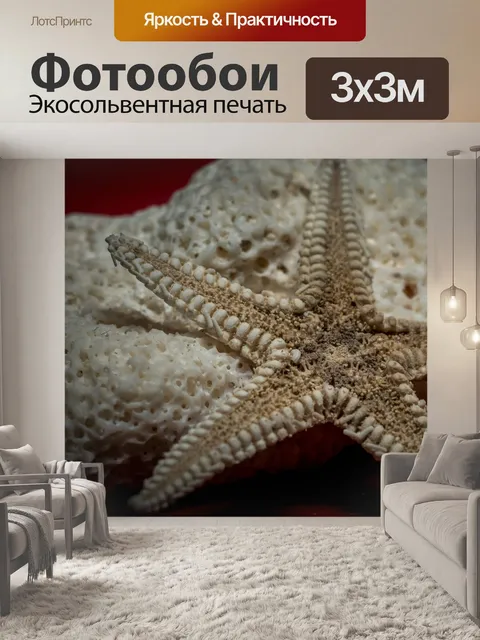Фотообои Морская звезда и коралл