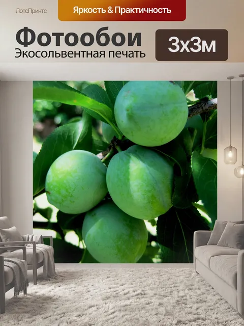 Фотообои зеленые сливы