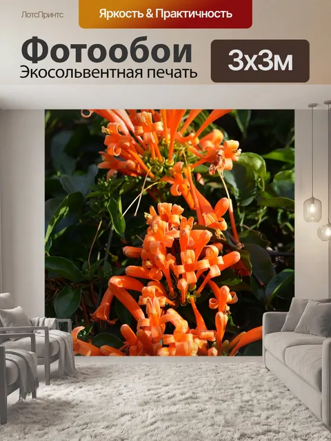 Фотообои Африке