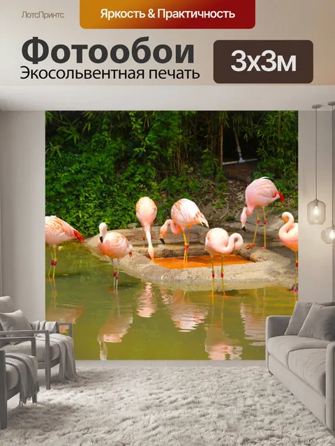 Фотообои Фламинго в воде