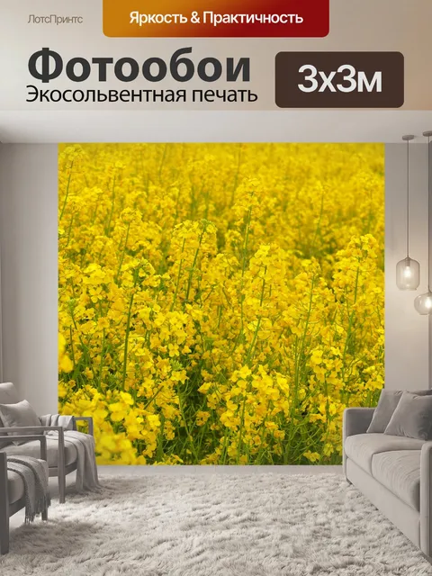 Фотообои Рапса