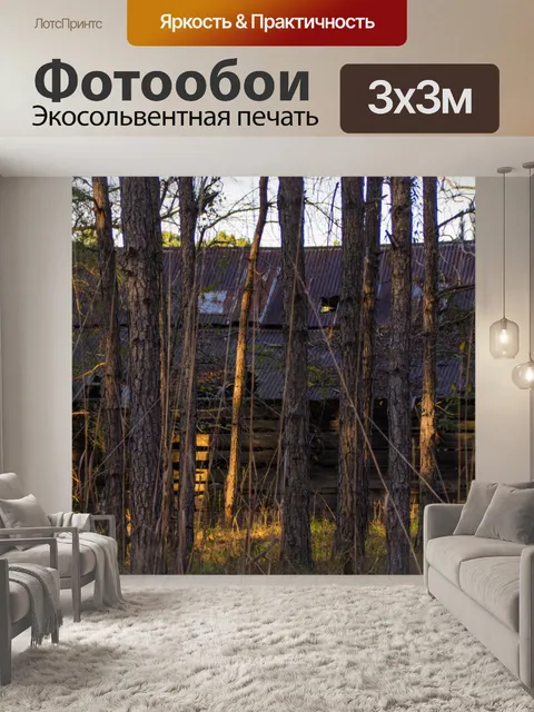 Фотообои прочная кабина за лесными деревьями