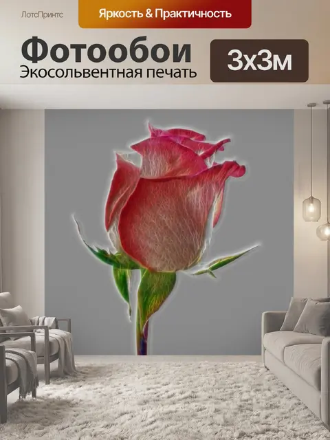 Фотообои розовая роза